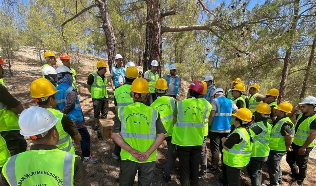 Orman Genel Müdürlüğü tarafından hazırlanan ve Resmî Gazete’de yayımlanarak yürürlüğe