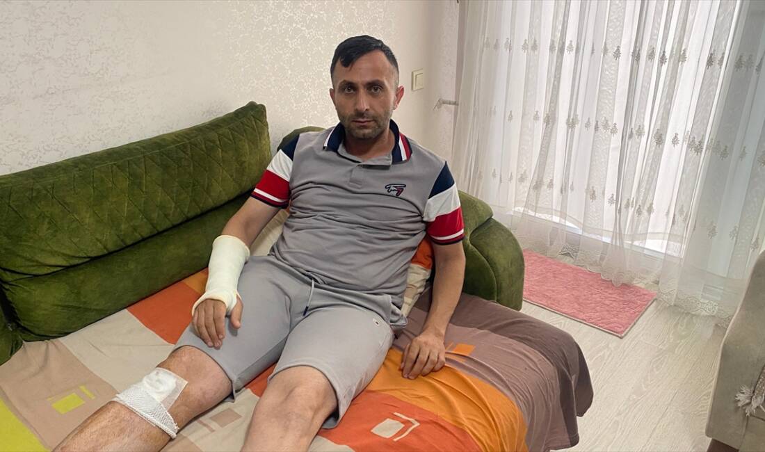 MERSİN (AA) – Mersin’in Toroslar Belediyesi sınırlarında, sahipsiz köpeklerin saldırısına
