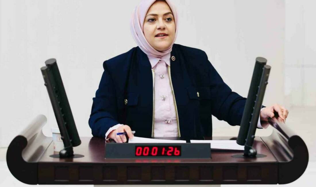 Gelecek Partisi Denizli Milletvekili Sema Silkin Ün, İsrail-İran geriliminden yola