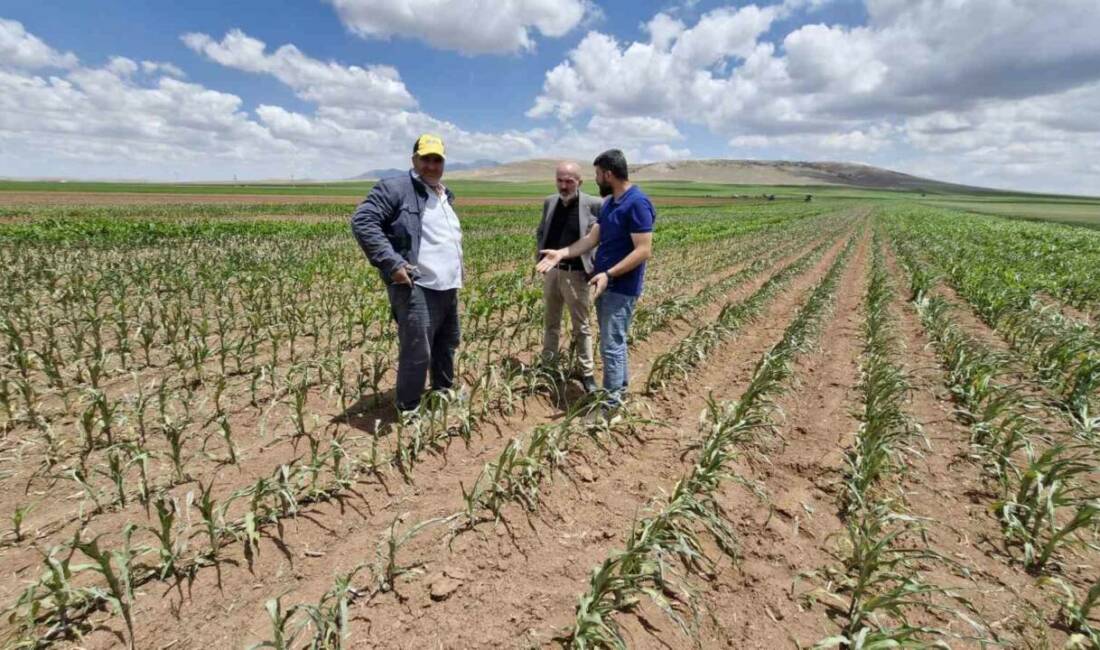 Karaman’da bir çiftçinin üç ayrı yerde bulunan toplam 85 dönüm