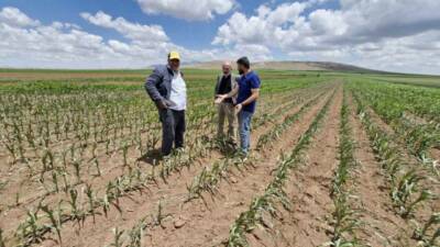 Karaman’da bir çiftçinin üç ayrı yerde bulunan toplam 85 dönüm