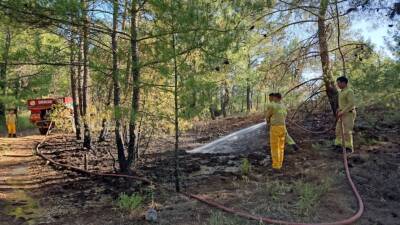 MUĞLA (AA) – Muğla’nın Menteşe ilçesinde çıkan orman yangını büyümeden