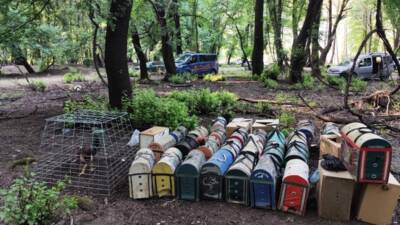 MUĞLA (AA) – Muğla’da, Köyceğiz Hayvanları Çevreyi ve Doğayı Koruma