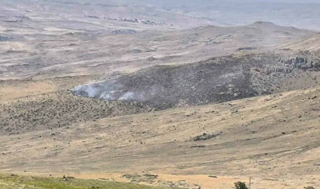 Van’ın Muradiye ilçesinde dağlık alanda yangın çıktı. Edinilen bilgiye göre