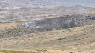 Van’ın Muradiye ilçesinde dağlık alanda yangın çıktı. Edinilen bilgiye göre