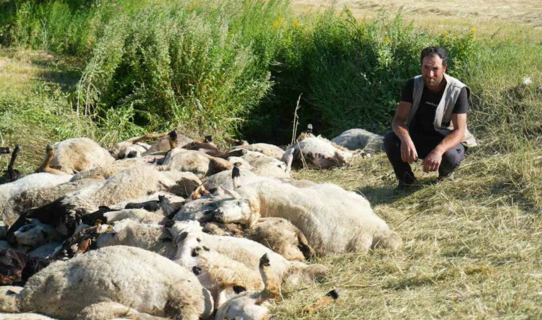 Muş merkeze bağlı Ziyaret köyünde gece saatlerinde yaşanan olayda 150