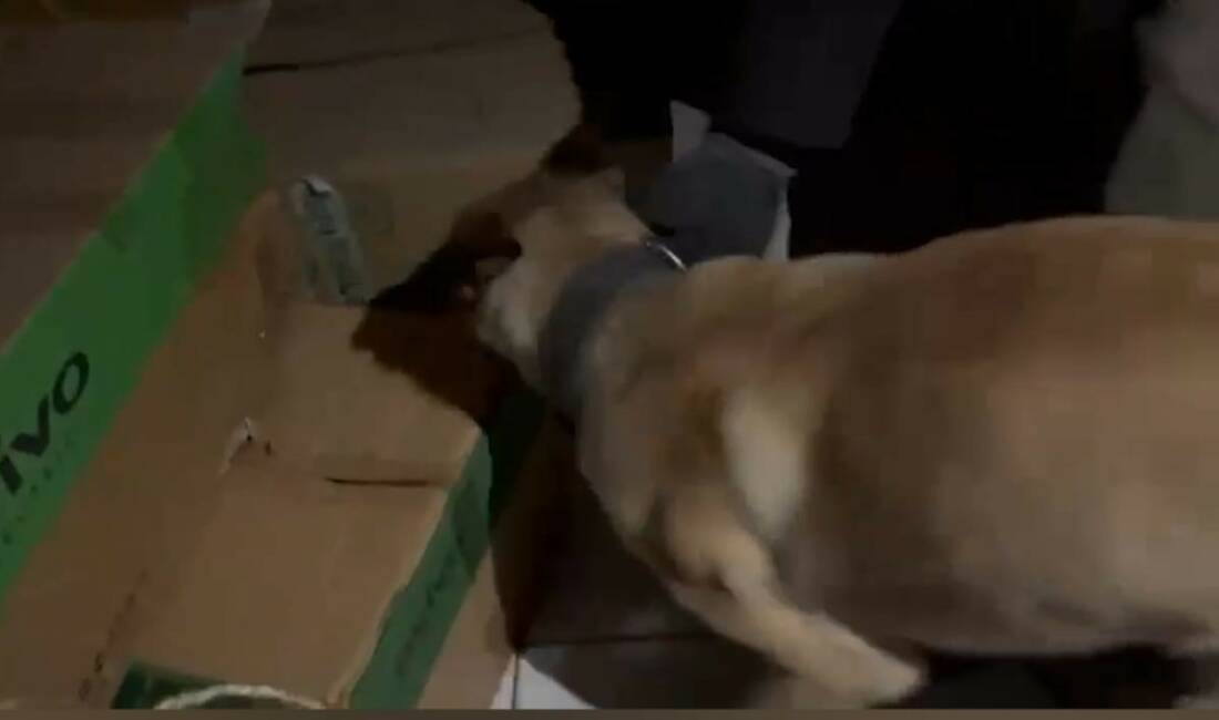 Kayseri’de polis ekiplerinin narkotik köpeği ETA ile yaptığı çalışmalarda 670