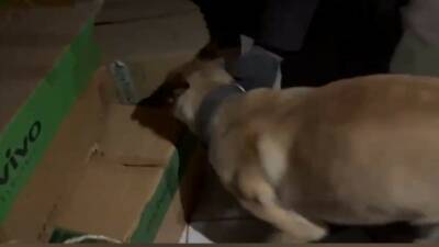 Kayseri’de polis ekiplerinin narkotik köpeği ETA ile yaptığı çalışmalarda 670