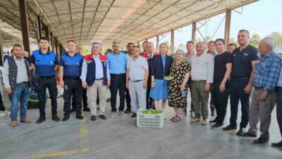 Aydın’ın Nazilli ilçesinde, incir üretiminin en kritik aşamalarından biri olan