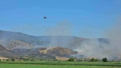 Aydın’ın Nazilli ilçesinde zirai alanda çıkan yangını kontrol altına almak