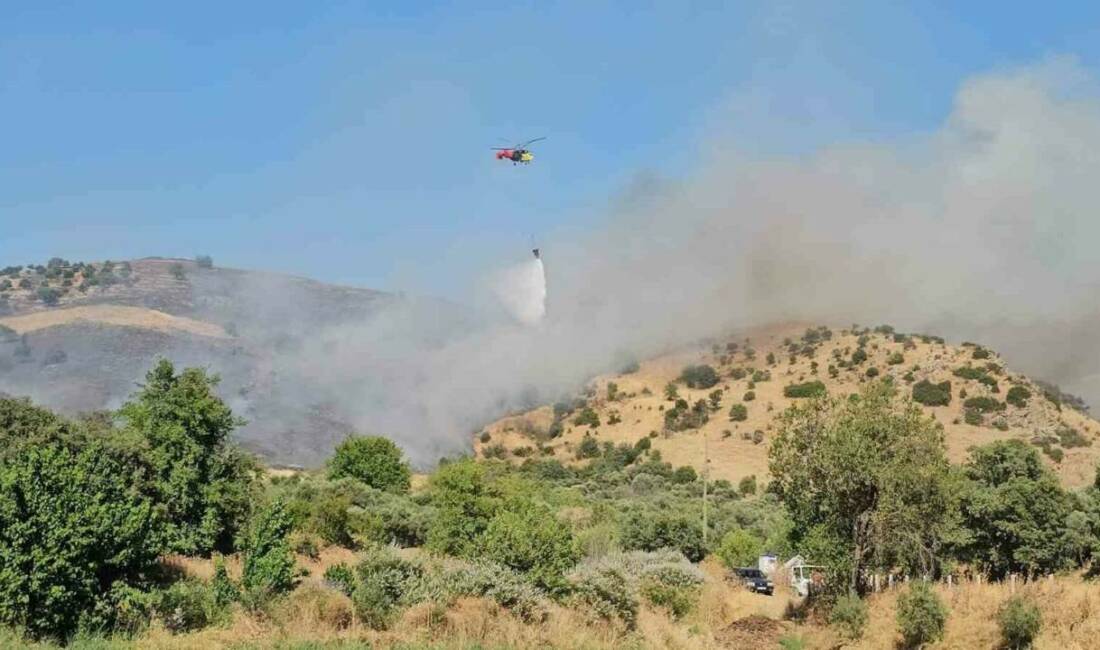 Aydın’ın Nazilli ilçesinde zirai alanda çıkan yangın karadan ve havadan