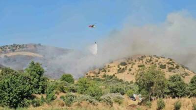 Aydın’ın Nazilli ilçesinde zirai alanda çıkan yangın karadan ve havadan