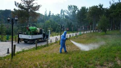 Niğde Belediyesi Veteriner İşleri Müdürlüğü ekipleri, yaz aylarının gelmesiyle birlikte