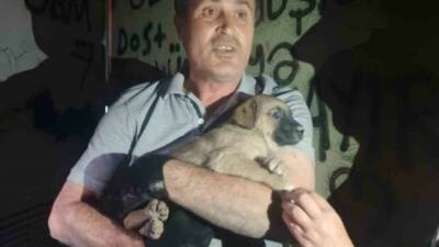 Eskişehir’de bir trafoda mahsur kalan yavru köpek, Osmangazi Elektrik Dağıtım