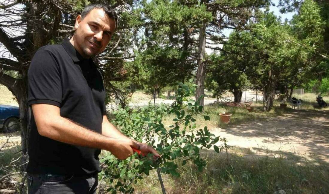 Mersin Erdemli’de 2 çocuk babası, kendi adına açılan sahte hesap