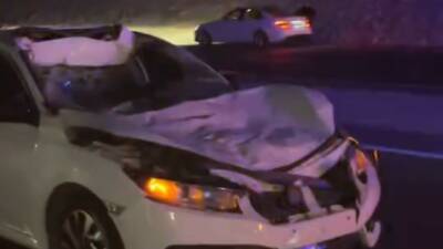 Siirt’te otomobilin yola çıkan ineğe çarpması sonucu meydana gelen kazada