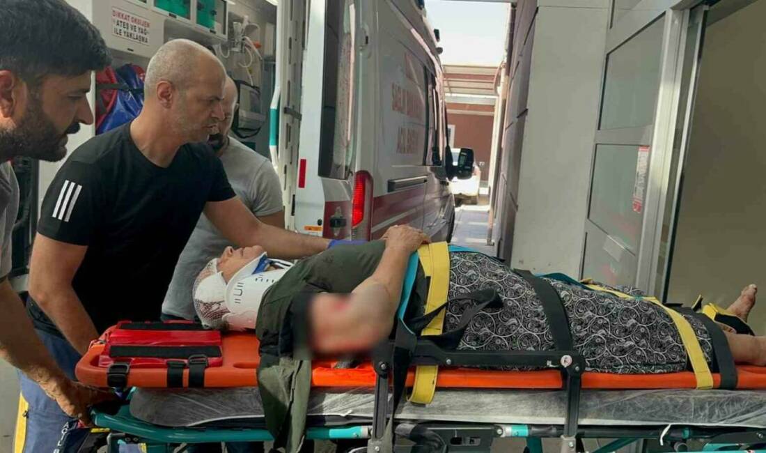 Adıyaman’da yolun karşısına geçmeye çalışan kadın, otomobilin çarpması sonucu yaralandı.
