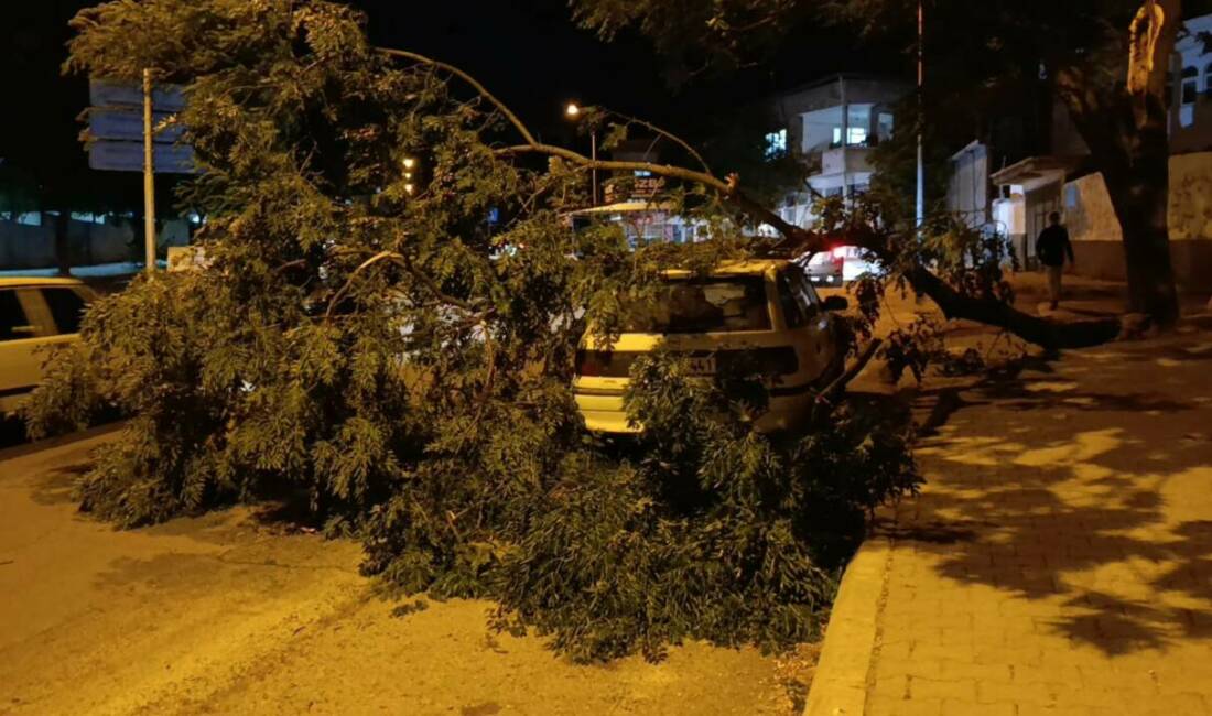 Kahramanmaraş’ta etkili olan fırtına nedeniyle park halindeki otomobilin üzerine ağaç