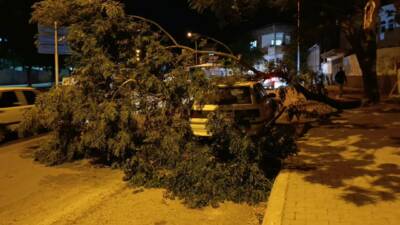 Kahramanmaraş’ta etkili olan fırtına nedeniyle park halindeki otomobilin üzerine ağaç