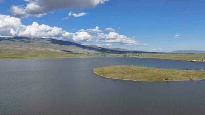 Ağrı’nın Patnos ilçesinde bulunan Patnos Barajı’nda balık türlerinin giderek azalması,