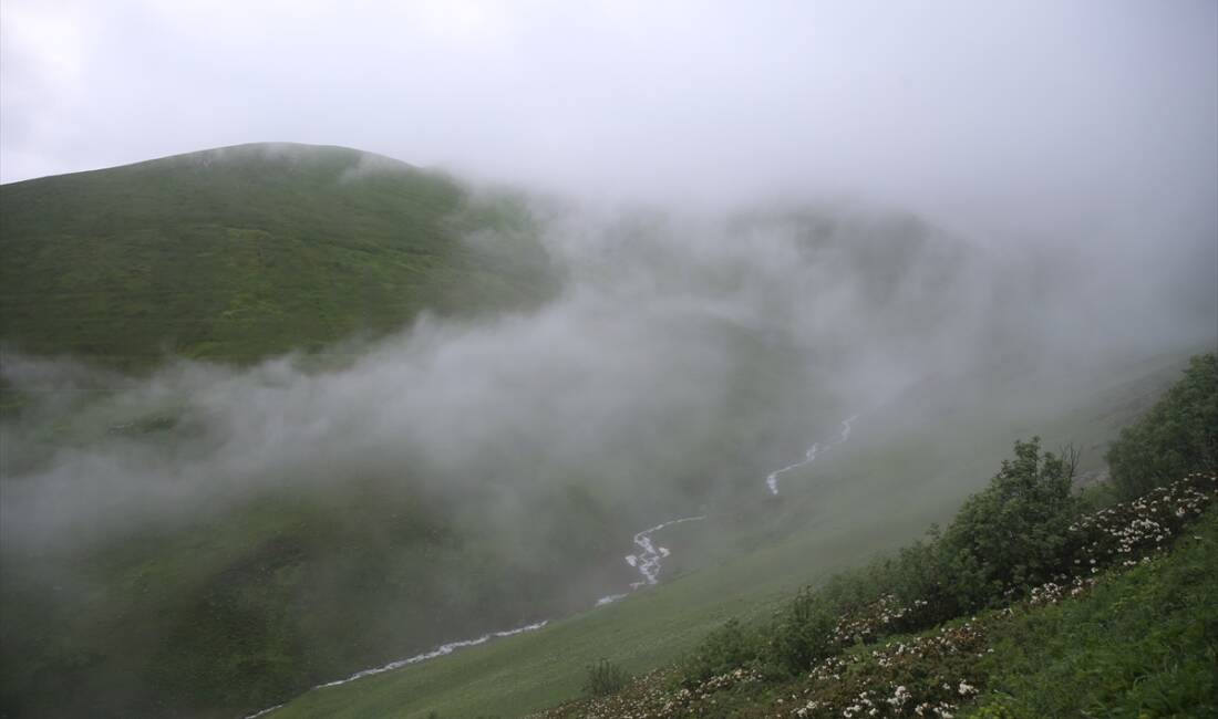 RİZE (AA) – Rize’nin İkizdere ilçesinde kaymakamlık ve belediye işbirliğiyle