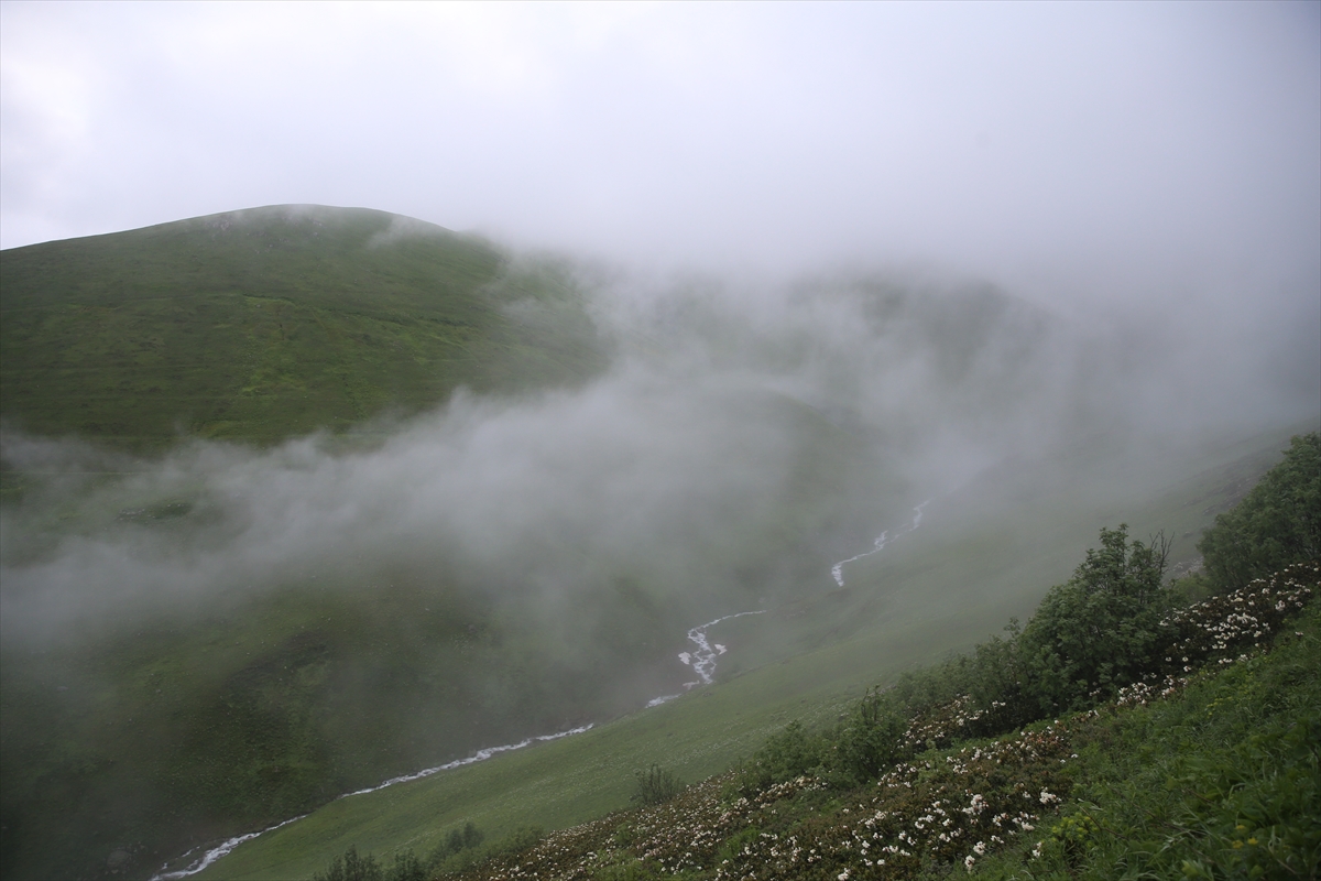 RİZE (AA) – Rize’nin İkizdere ilçesinde kaymakamlık ve belediye işbirliğiyle