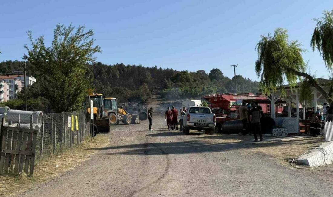 Sakarya Orman Bölge Müdürlüğü’nün Söğütlü ilçesindeki deposunda çıkarak ormanlık alana