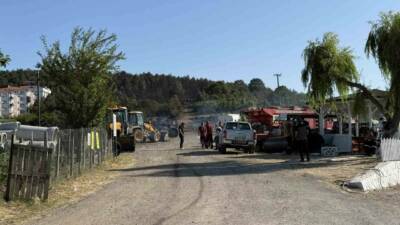 Sakarya Orman Bölge Müdürlüğü’nün Söğütlü ilçesindeki deposunda çıkarak ormanlık alana