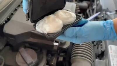 Samsun’da narkotik dedektör köpeği “Çakır” ile yapılan aramada bir otomobilin