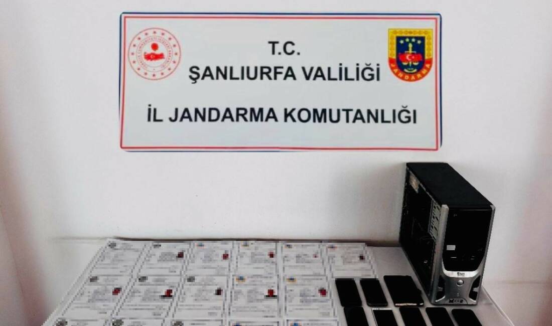 Şanlıurfa merkezli 5 ilde suç örgütüne yönelik düzenlenen operasyonda gözaltına