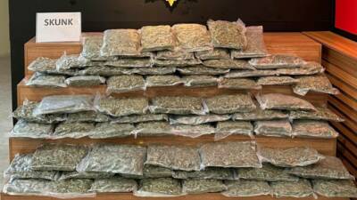 Şanlıurfa’da polis tarafından gerçekleştirilen operasyonda 35 kilo 250 gram skunk
