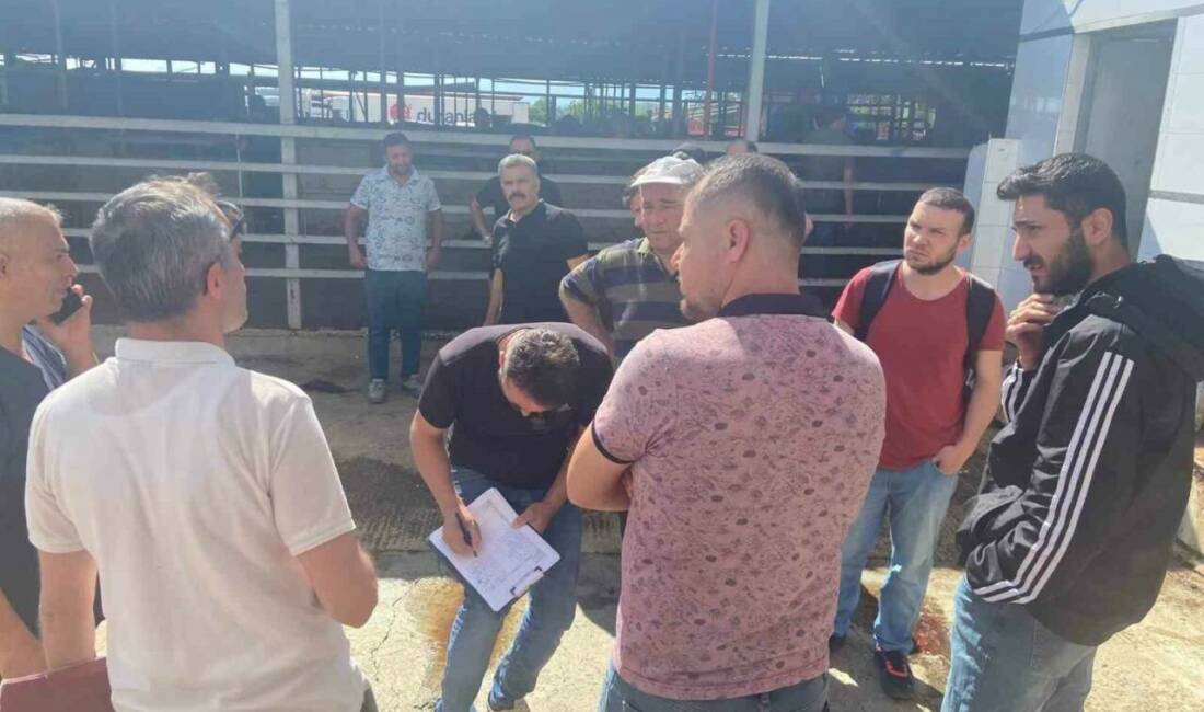 DENİZLİ (İHA) – Denizli’de Kurban Bayramı öncesinde düzenlenen kurban kesim