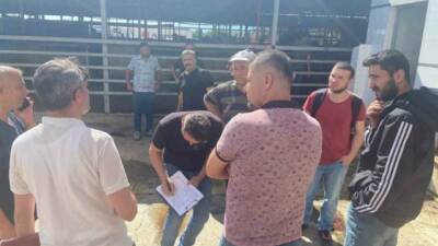 DENİZLİ (İHA) – Denizli’de Kurban Bayramı öncesinde düzenlenen kurban kesim