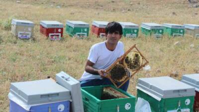 Siirt’in Kurtalan ilçesinde arıcı Muhammed Rahmi Mikyas, kurduğu bağla arılarına