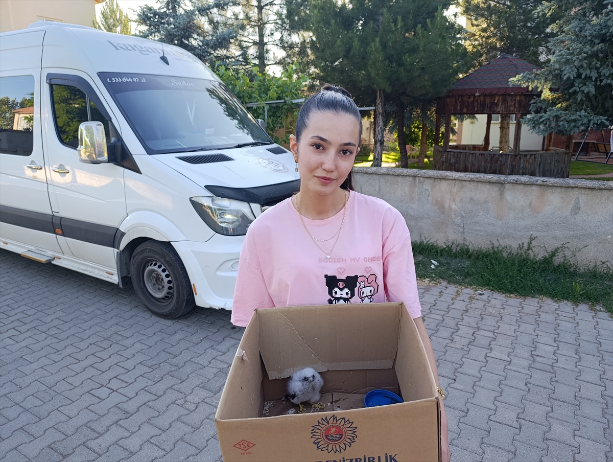 SİVAS (AA) – Sivas’ın Şarkışla ilçesinde bir çocuk tarafından bulunan