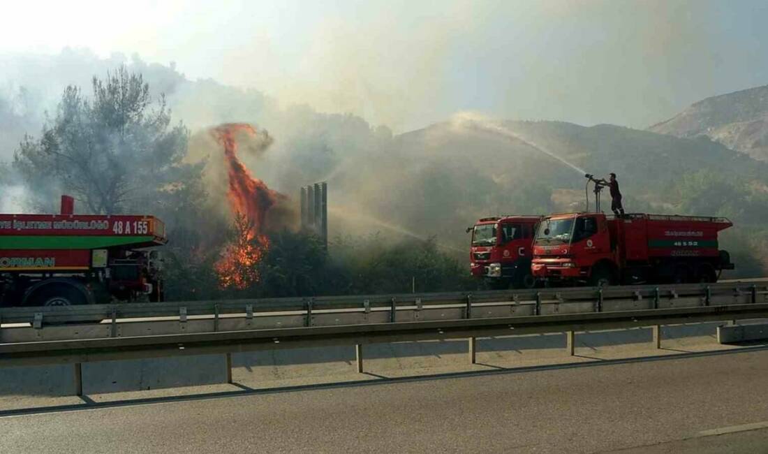 Aydın’ın Söke ilçesinde zirai alanda çıkan ve ormanlık alana sıçrayan