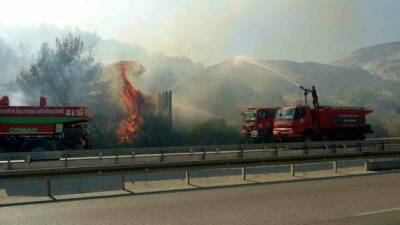Aydın’ın Söke ilçesinde zirai alanda çıkan ve ormanlık alana sıçrayan