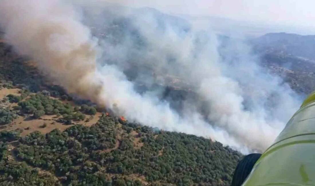 Aydın’ın Söke ilçesinde zirai alanda çıkan yangın ekiplerin yoğun çalışmaları