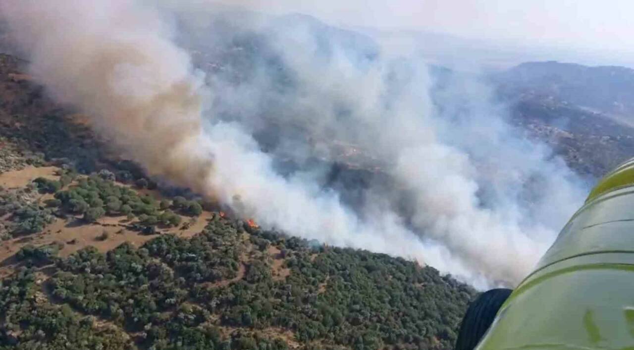 Aydın’ın Söke ilçesinde zirai alanda çıkan yangın ekiplerin yoğun çalışmaları