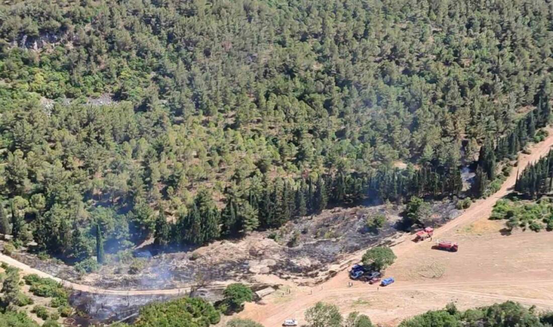 Manisa’nın Soma ilçesinde semaverden sıçrayan kıvılcımların ormanlık alanda sebep olduğu