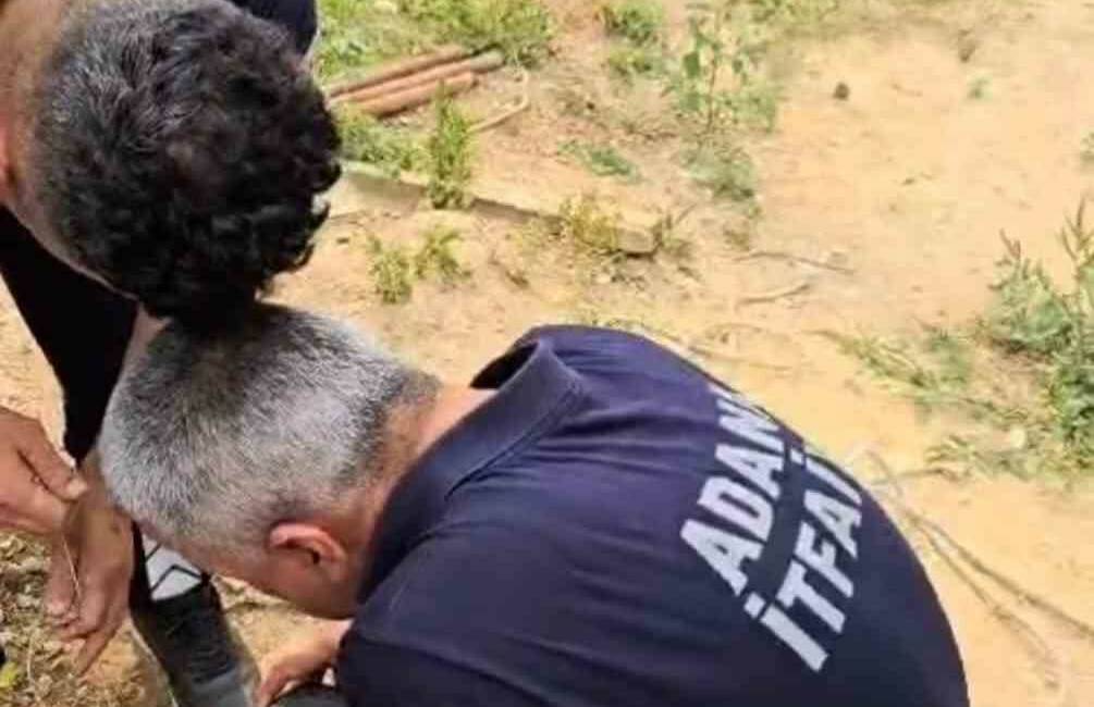 Adana Kozan’da su borusuna düşen yavru kedi, ekiplerin çalışmasıyla kurtarıldı.