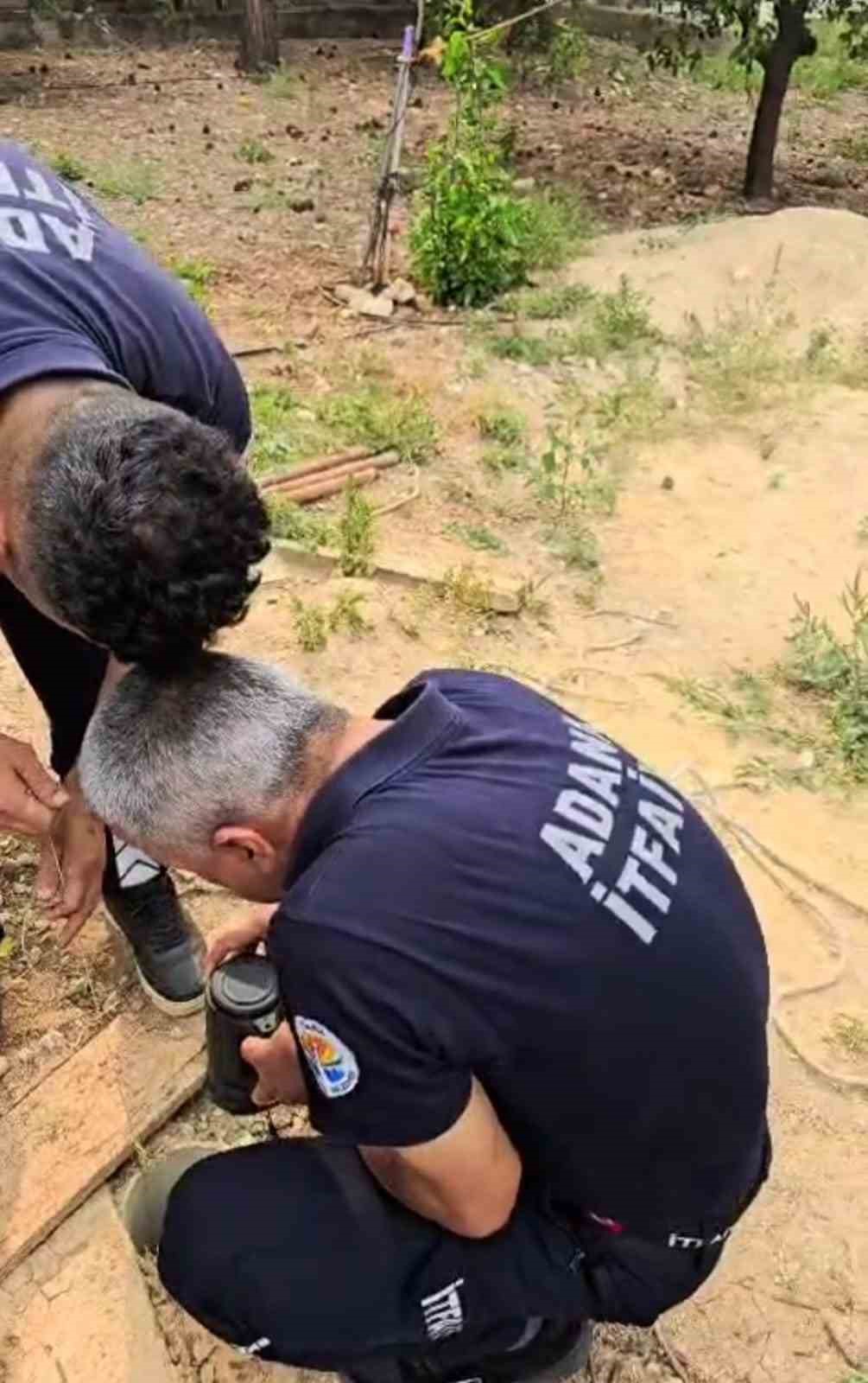 Adana Kozan’da su borusuna düşen yavru kedi, ekiplerin çalışmasıyla kurtarıldı.