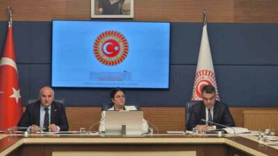 AK Parti Osmaniye Milletvekili Derya Yanık başkanlığında toplanan TBMM İnsan