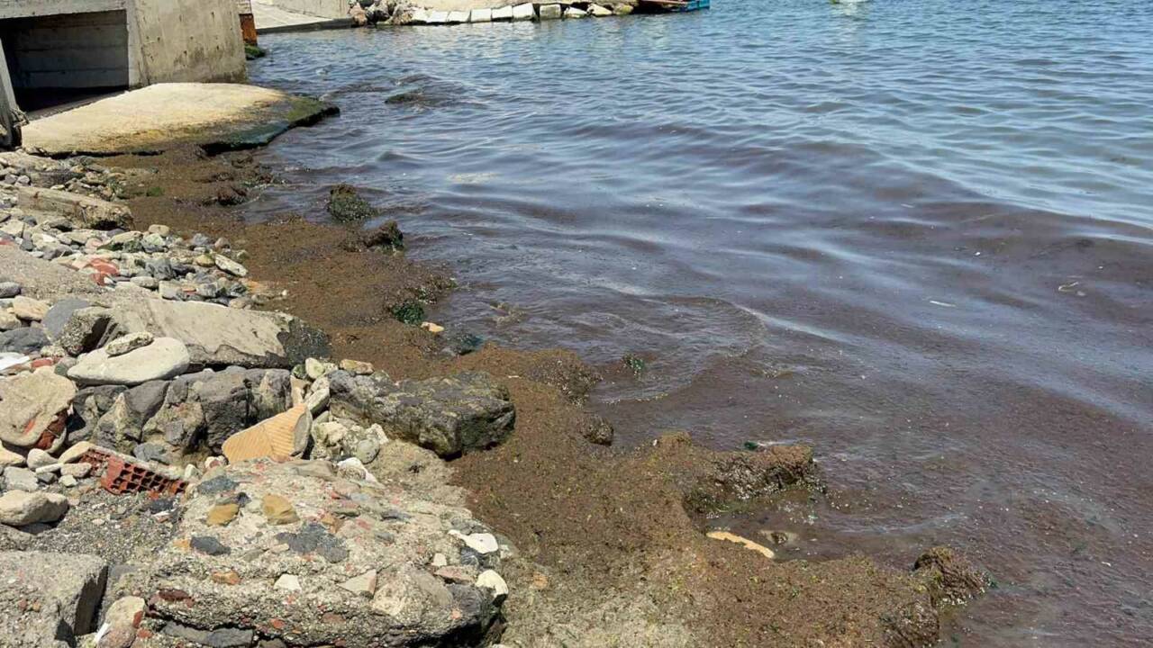 Tekirdağ’da son günlerde etkili olan poyraz, sahil kesiminde kırmızı yosun