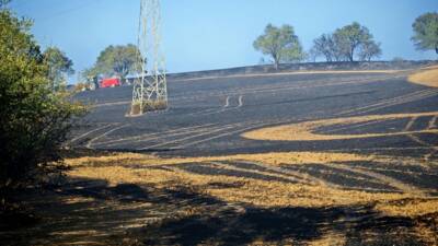 TEKİRDAĞ (AA) – Tekirdağ’ın Malkara ilçesinde bir tarlada çıkan yangında