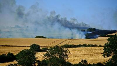 Tekirdağ’ın Malkara ilçesinde buğday tarlasında çıkan yangında yaklaşık 200 dönüm
