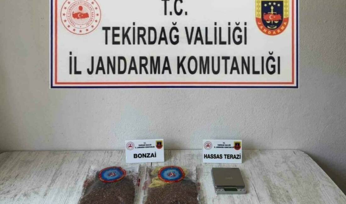 Tekirdağ İl Jandarma Komutanlığı ekipleri, uyuşturucu ile mücadele kapsamında uyuşturucuya