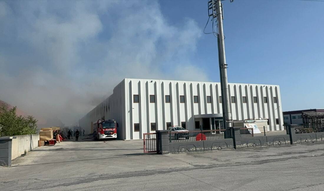 TEKİRDAĞ (AA) – Tekirdağ’ın Ergene ilçesinde bir gıda deposunda çıkan