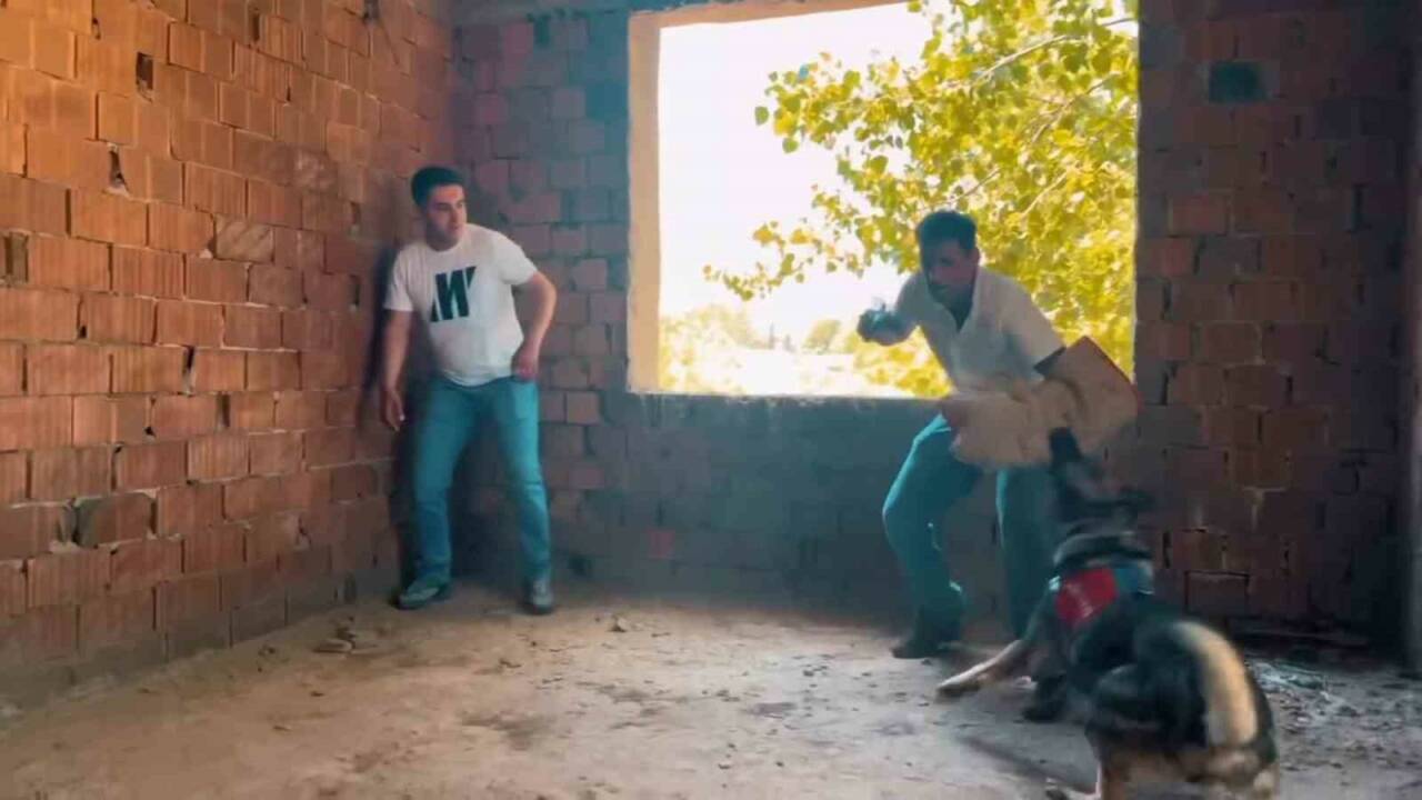 Tekirdağ’da jandarmanın 186. kuruluş yıl dönümü çerçevesinde düzenlenen temsili operasyon