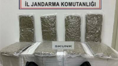 Tekirdağ’ın Ergene ilçesinde bir otomobilde yapılan aramada 12 kilogram skunk